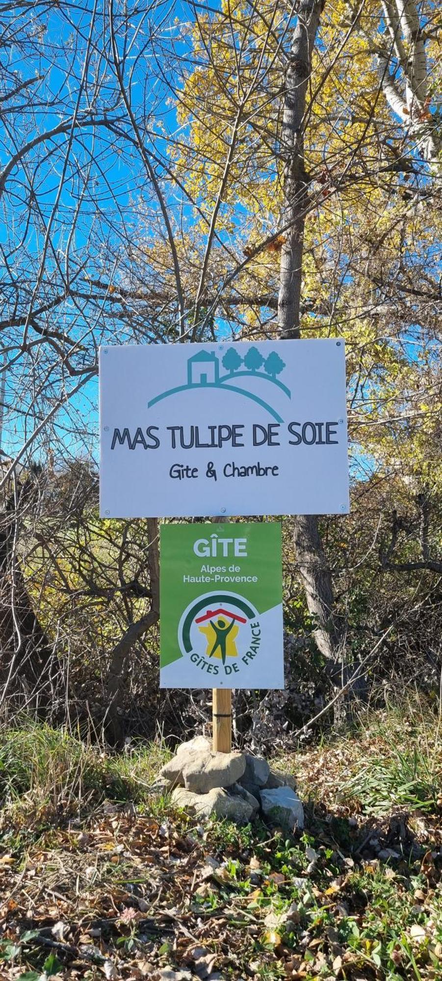 Bed and Breakfast Mas Tulipe De Soie Bevons Esterno foto