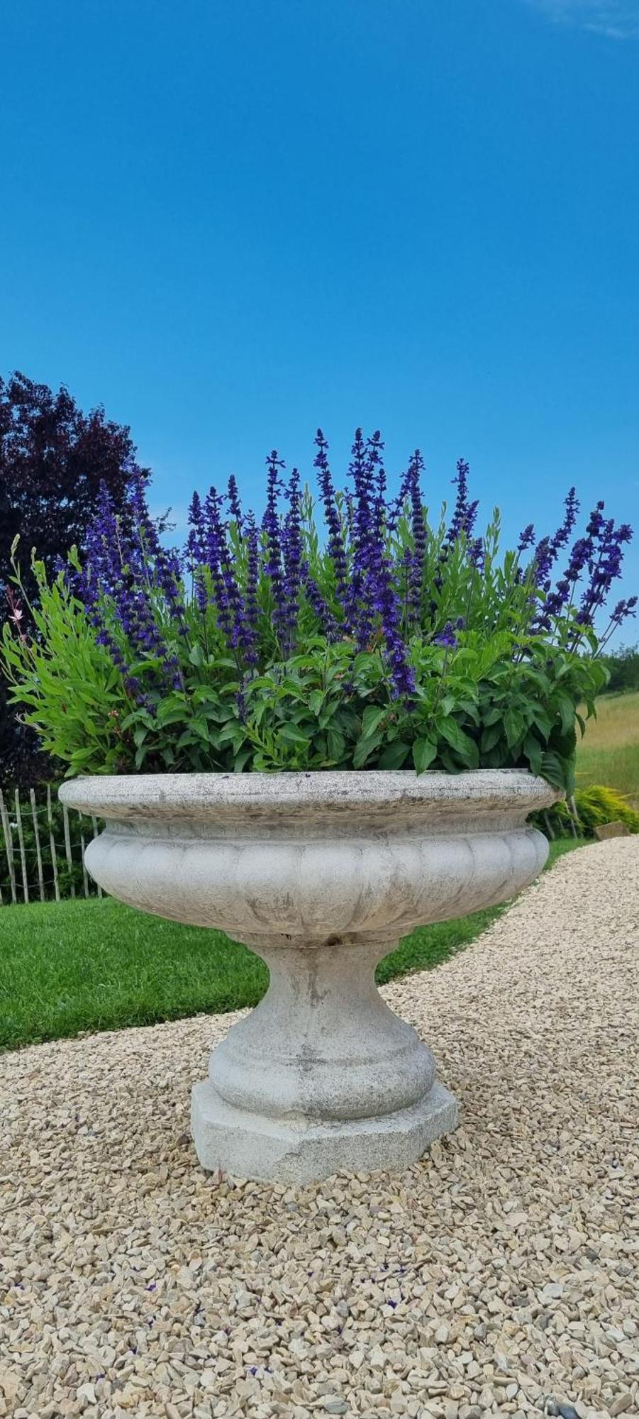 Bed and Breakfast Mas Tulipe De Soie Bevons Esterno foto